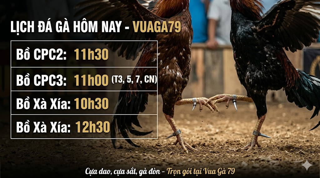 đá gà trực tiếp