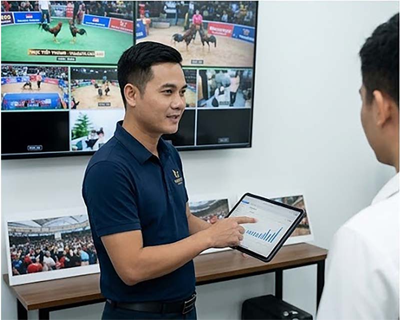 ceo thanh bảo