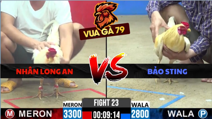 TRẬN XỔ 23 CPC2 NGÀY 29/5/2026