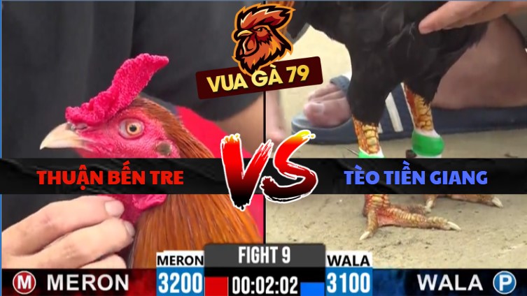 TRẬN XỔ 9 CPC2 NGÀY 30/5/2026