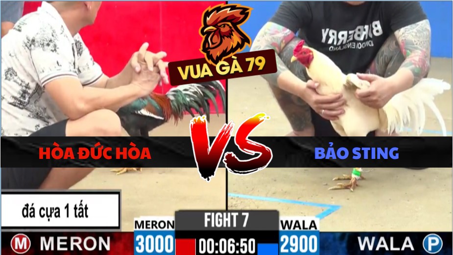 TRẬN XỔ 7 CPC2 NGÀY 27/5/2026