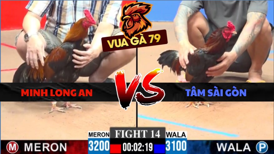 TRẬN XỔ 14 CPC3 NGÀY 7/6/2026
